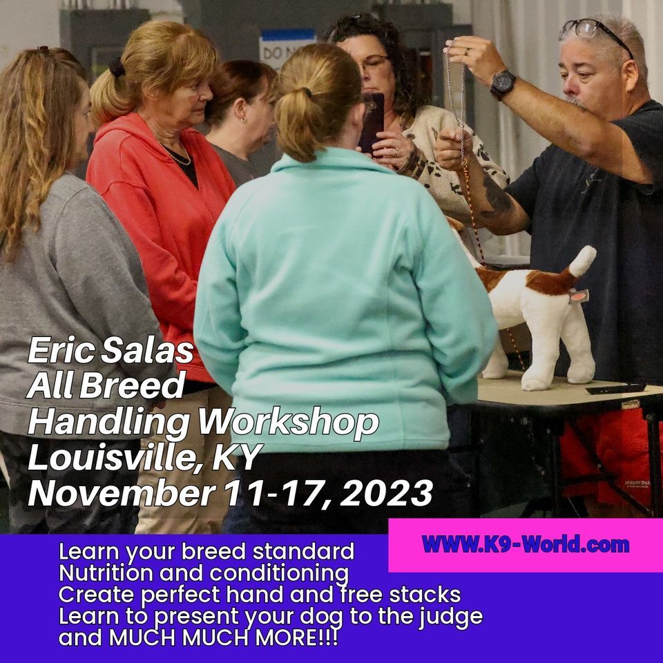 Louisville KY all breed handling Competitive Edge Agility