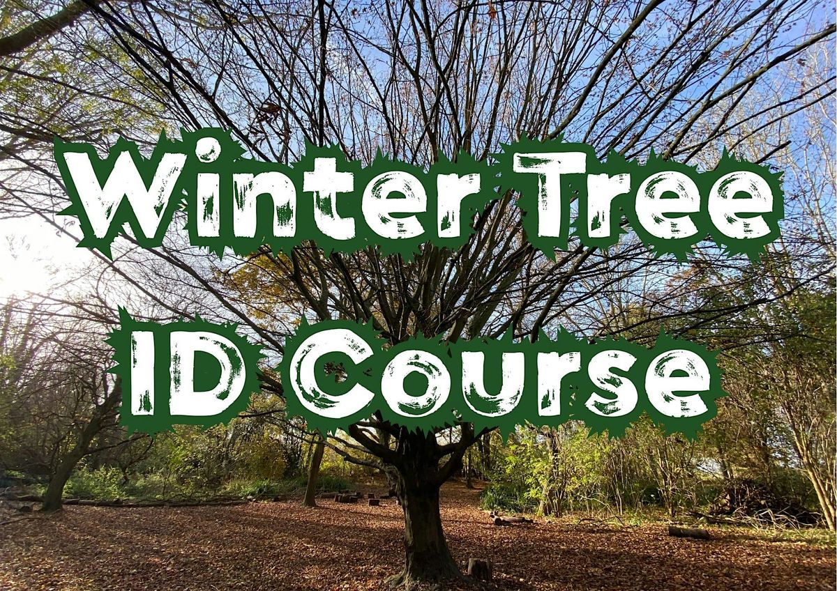 Winter Tree ID Course, 7 February | Event in Chelmsford | AllEvents