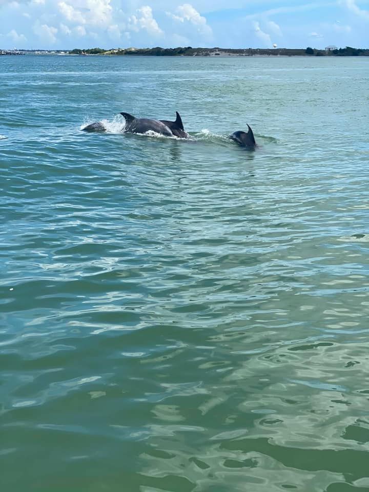 Historic Waterfront and Scenic Estuary Boat Tours Sundays, Pogie's