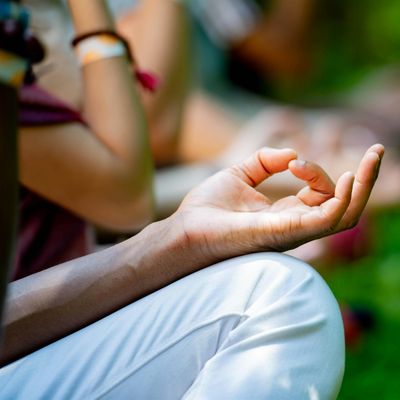 The Art Of Living Foundation logo