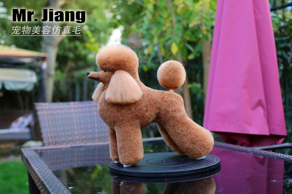 Asian Style/traditional style Model Dog full body, Palmerstown