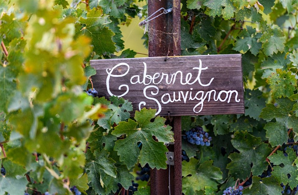 An Evening with Cabernet, 4 December | Event in Chanhassen | AllEvents