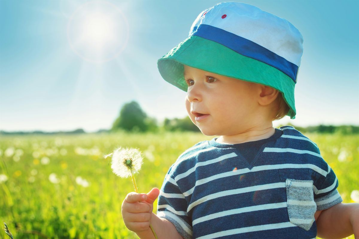 Introduction to the ITERS-3, 10 February | Event in Statesville | AllEvents