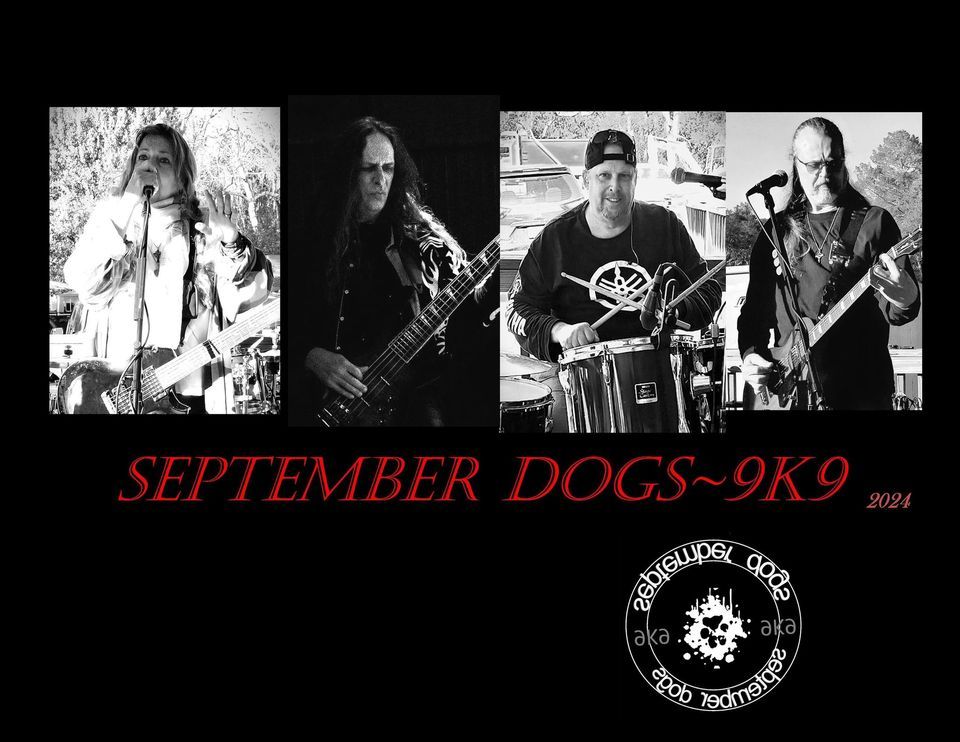 September Dogs At Tavares Dog House!, Tavares Dog House, April 27 2024 AllEvents.in