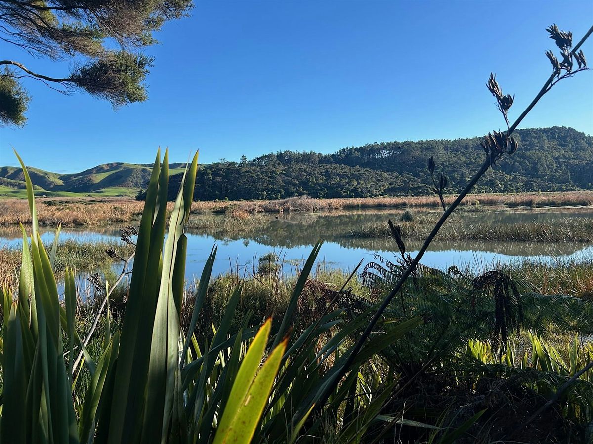 Gold Star Award with an Open Week at Matuku Link | Event in Auckland | AllEvents