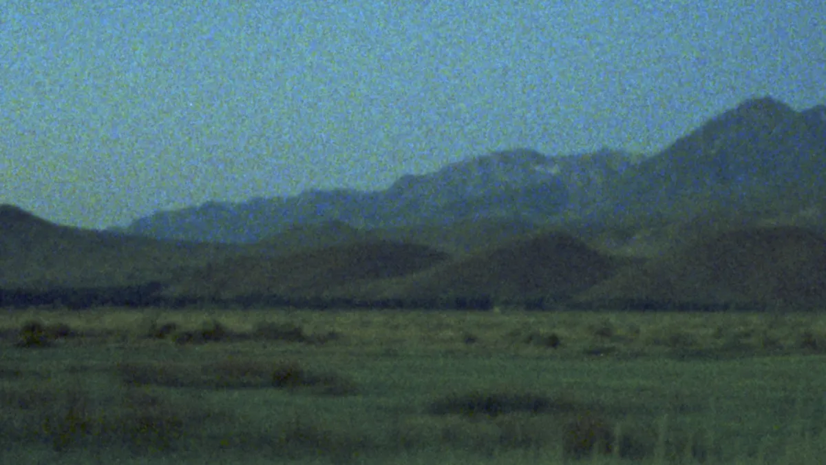 Dotan in Poznań, 10 May | Event in Poznan | AllEvents