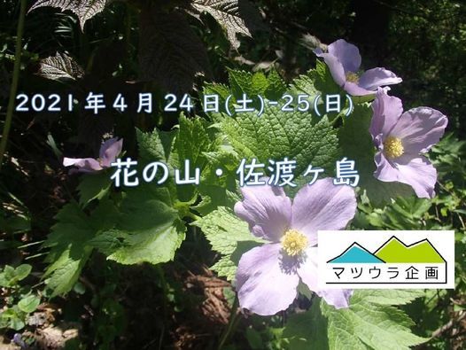 4 24 土 25 日 花の山 佐渡ヶ島 Pin佐渡ヶ島 Shiojiri April 24 To April 25 Allevents In
