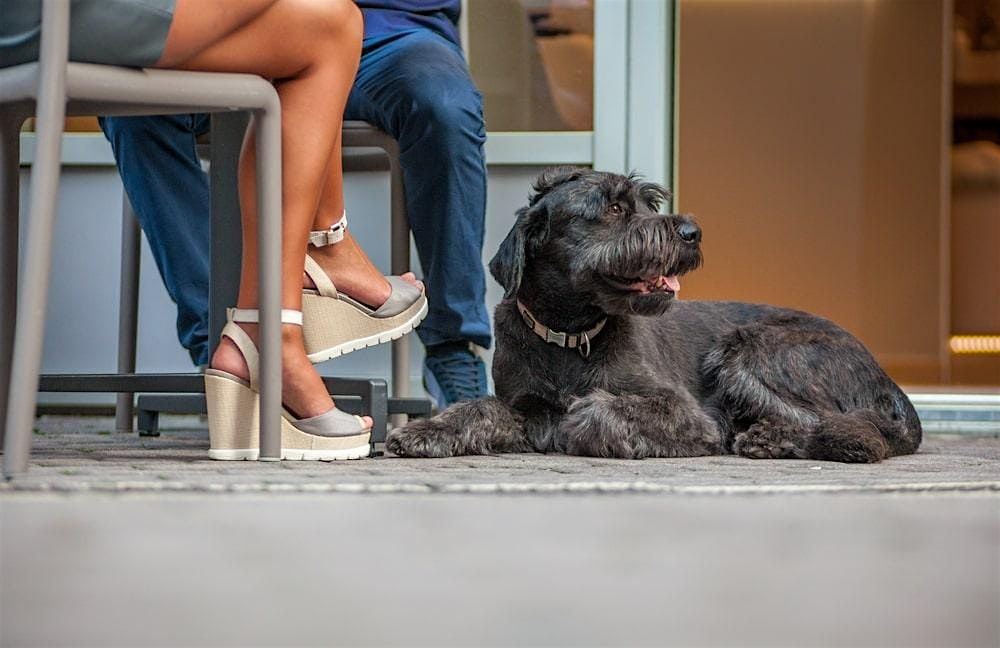 *FLASH SALE 35%* As Seen on VH1 | Blind Date Matchmaking in Washington DC | Event in Washington | AllEvents