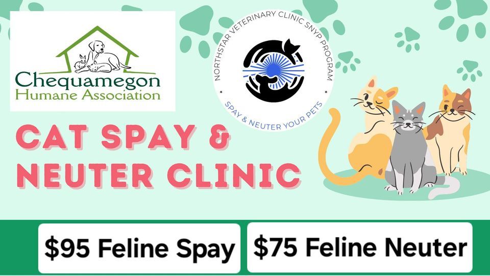 Low Cost Cat Spay and Neuter Clinic , 923 Rail Drive, Ashland, WI, 6