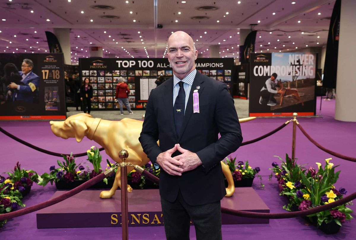 Westminster Kennel Club Dog Show, 1 February | Event in New York | AllEvents