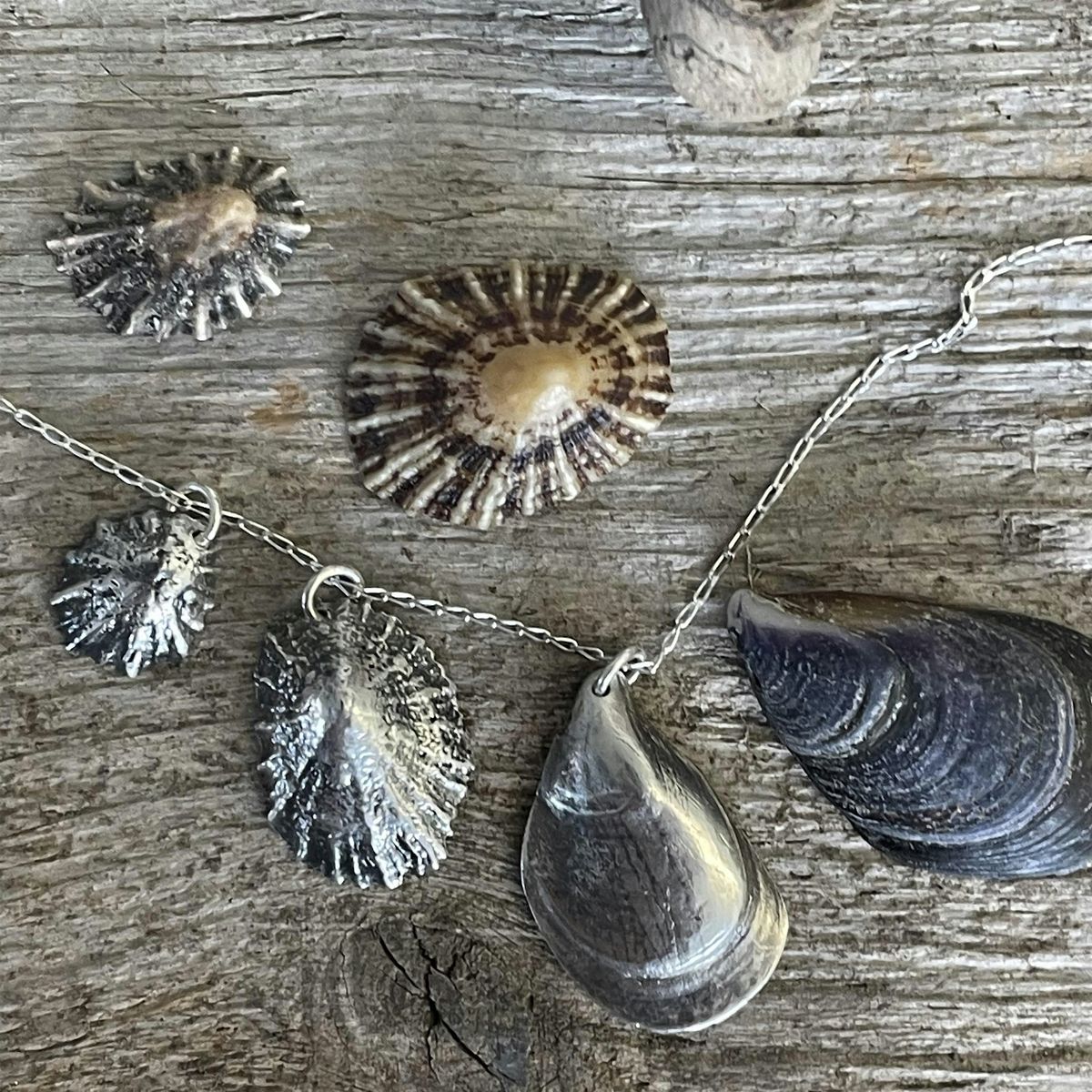 Shiny Shell Silver Clay Jewellery Workshop, 27 November | Event in Penryn | AllEvents
