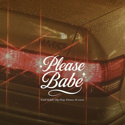 Please Babe Party logo