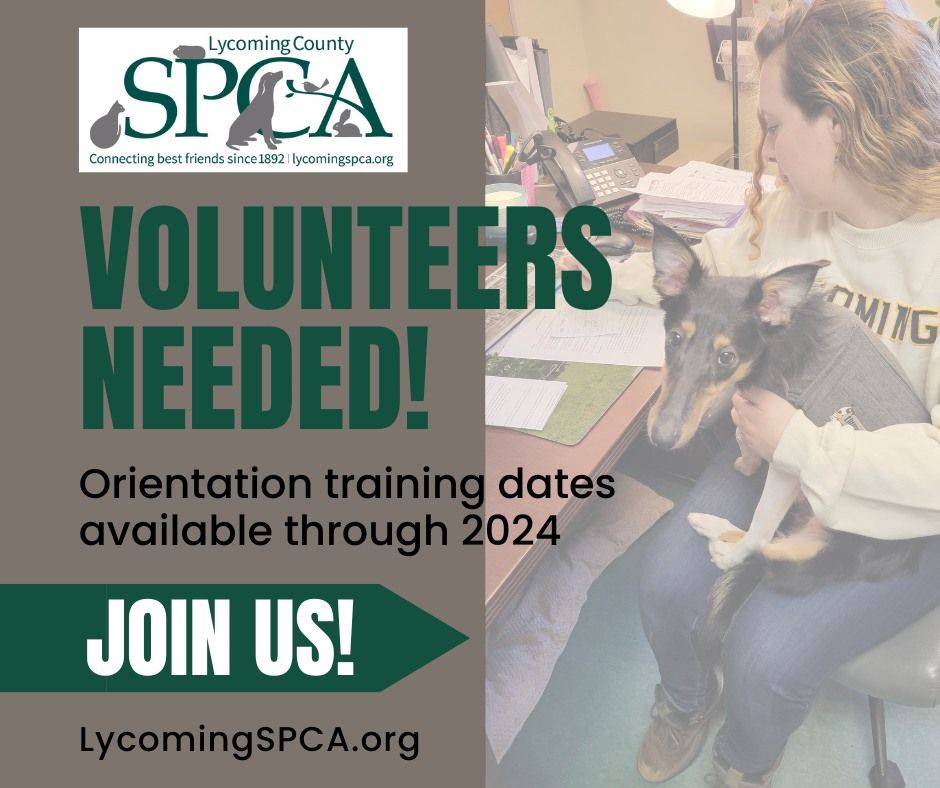 Volunteer Orientation, County SPCA, Williamsport, January 31