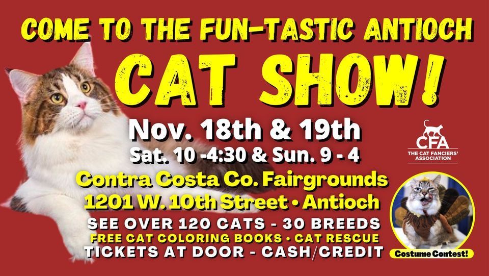 Come To the Funtastic Antioch CAT SHOW!, Contra Costa County