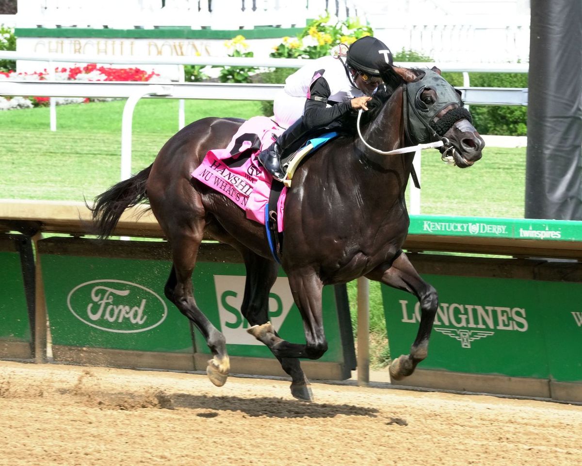 Churchill Downs Racing: The Clark, Churchill Downs, Louisville | AllEvents