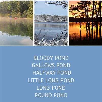 Six Ponds Improvement Association