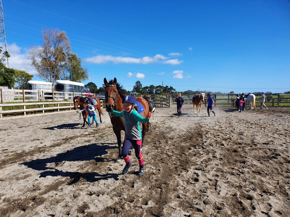 47yo Half Day Riding Programme, Egmont Village Riding School, Taupo