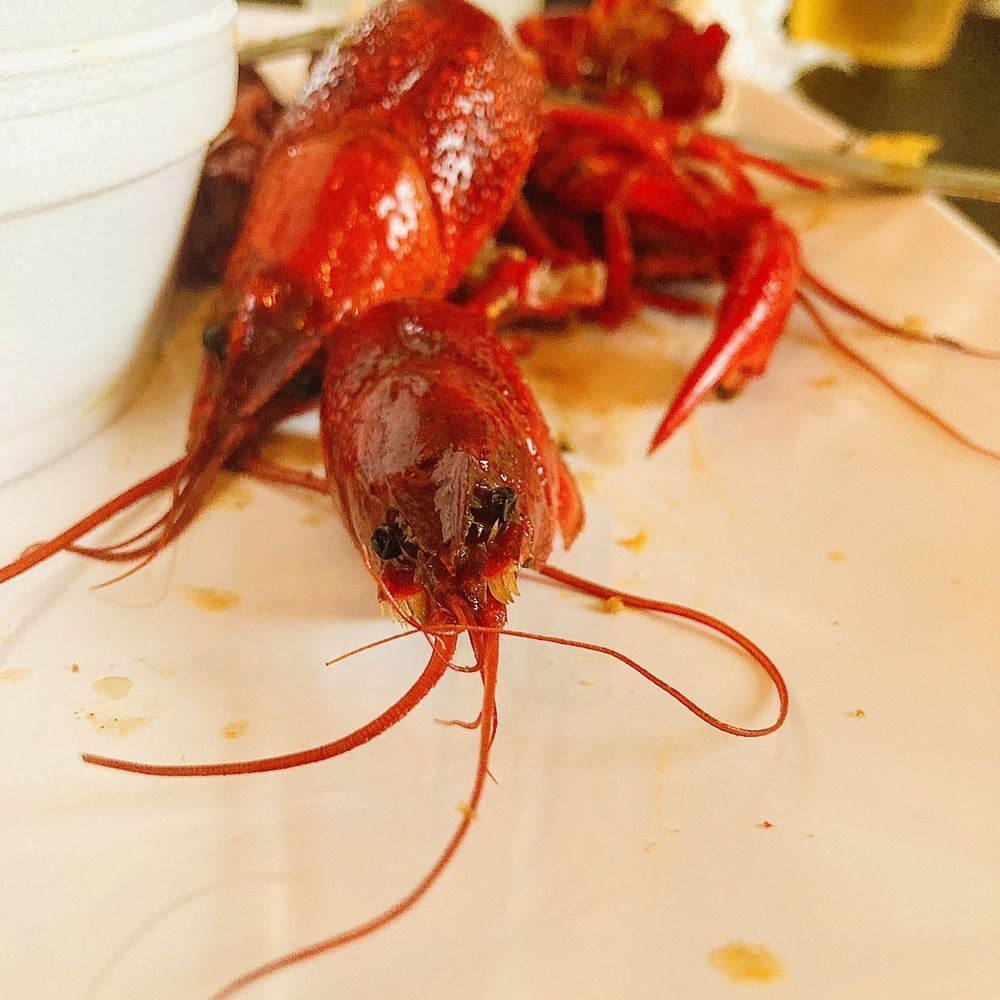 All White Southern Soul Music Festival: King George 803 Fresh & Mr ...