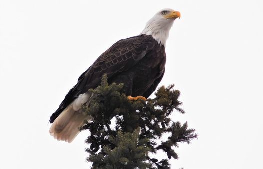 Kaukauna Events List Of All Upcoming Kaukauna Events In Kaukauna Kaukauna Events May 2022