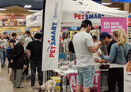 Fkd Petsmart Adoption Event 185 N Queen St Etobicoke On M9c 1a7 Canada 7 November To 8 November