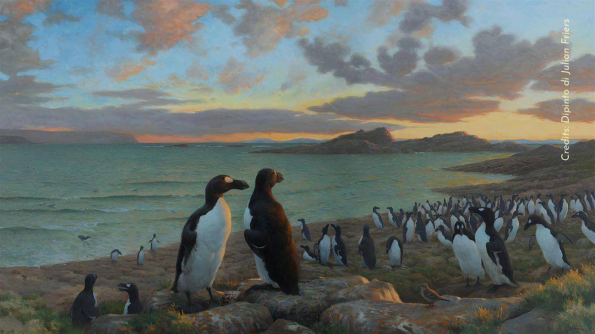 Estinzioni passate e presenti: le collezioni di storia naturale, 5 December | Event in Torino | AllEvents