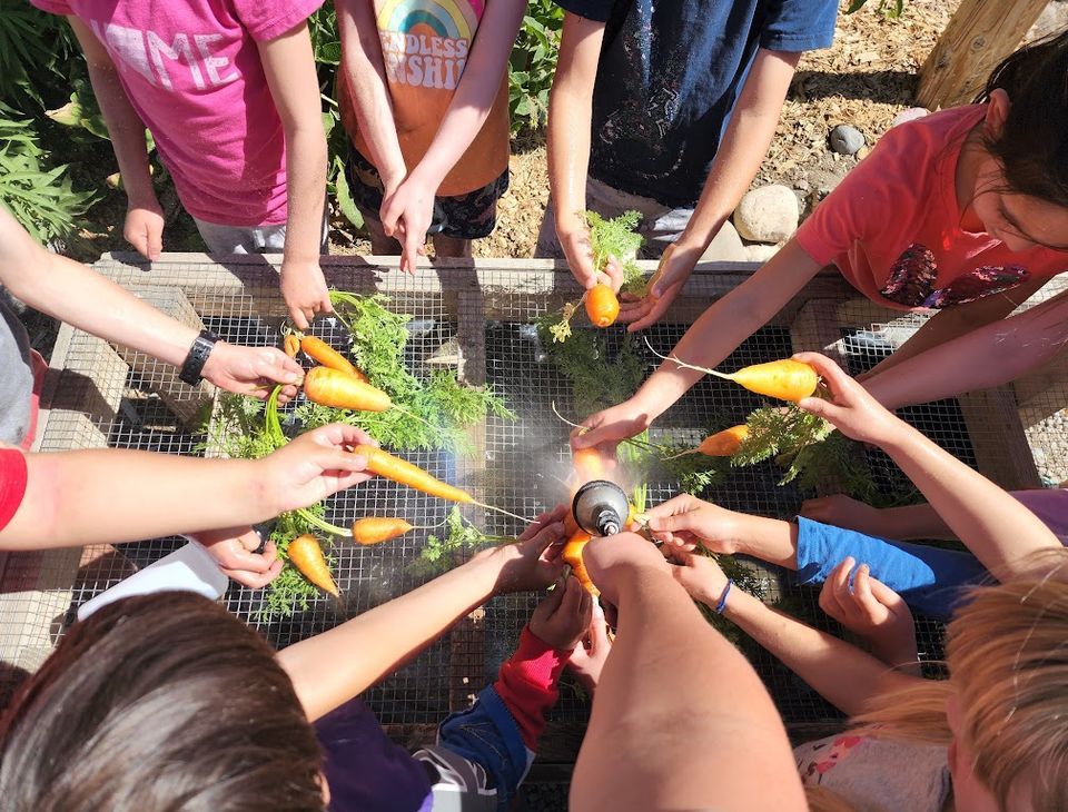 Summer Kids Camp | Ages 5-9, Urban Roots, Reno, 17 June 2024 | AllEvents.in