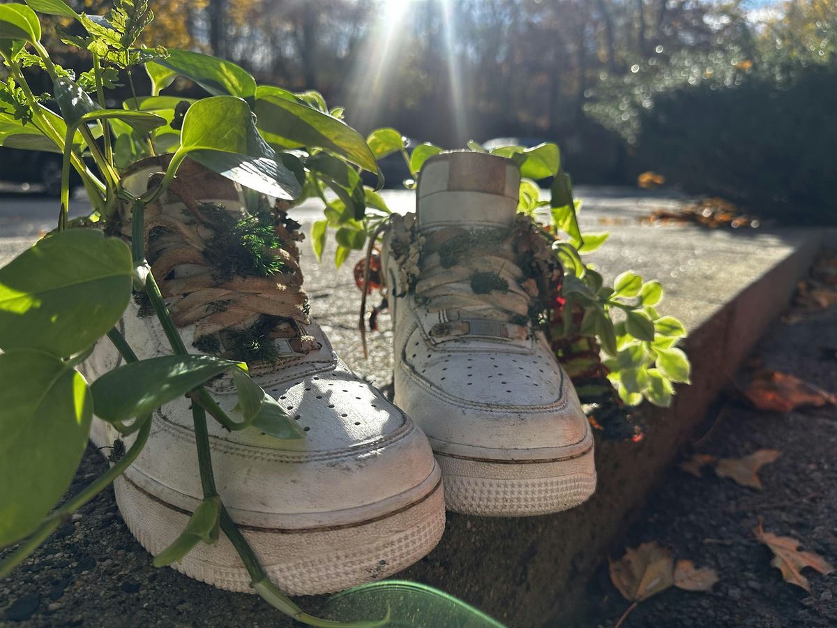 Sole to Soil: Sneaker Planter Workshop, 14 December | Event in Norwood | AllEvents