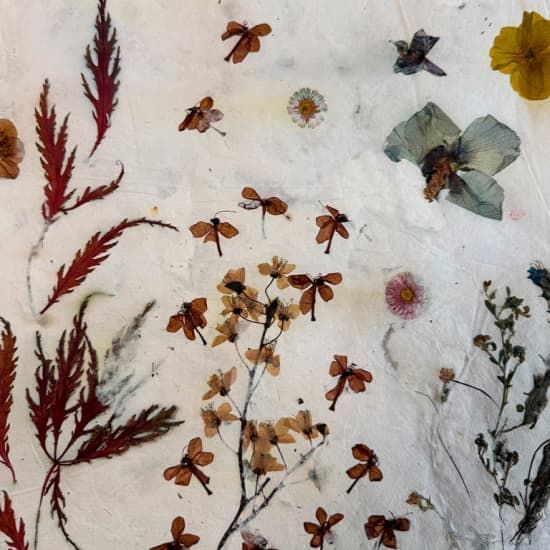 Papermaking-Workshop Berlin: Papierschöpfen mit Blumen, 2 September | Event in Berlin | AllEvents