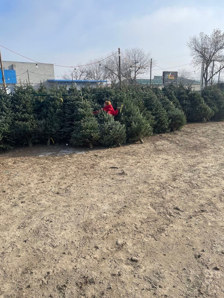 Generations Youth & Kids Christmas Tree Lot , Signs Now - Moses Lake, 9 ...
