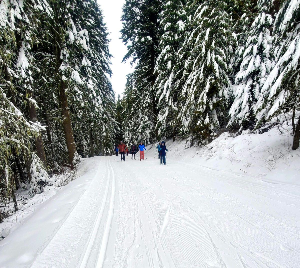 Free Ski Day - January 17th