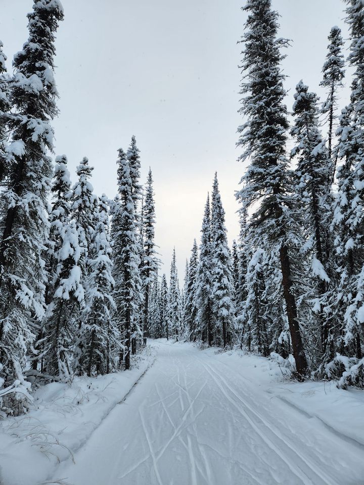 Intermediate Ski Lesson, Birch Hill Recreation Area, Fairbanks