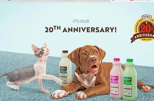 2022-2023-hairless-cat-calendar-calendar-with-holidays
