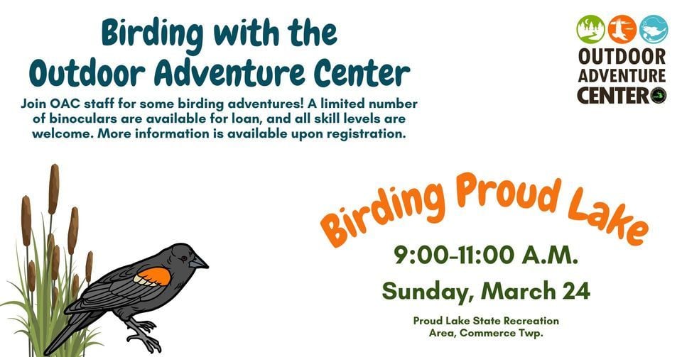 Birding Proud Lake , Proud Lake Recreation Area, Wixom, March 24 2024