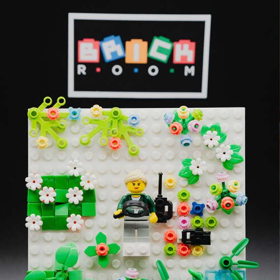 Brick and Drink Imagine, assemble et repars avec une figurine unique et un décor, à ton image ! | AllEvents