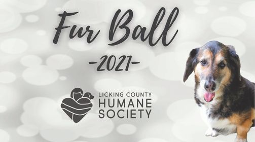 Meet Greet Events In Thornville Oh Book Tickets Register Now Thornville Country Fair 2022