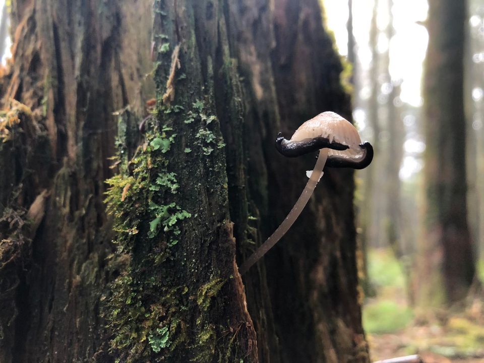 Nature Photography , Wolf Creek National Fish Hatchery