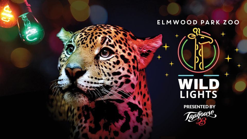 Wild Lights, Elmwood Park Zoo, Norristown, December 1 2023 AllEvents.in