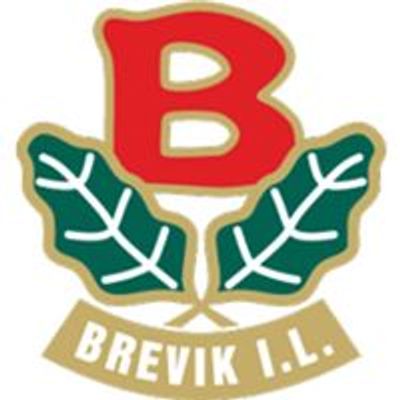 Brevik Idrettslag