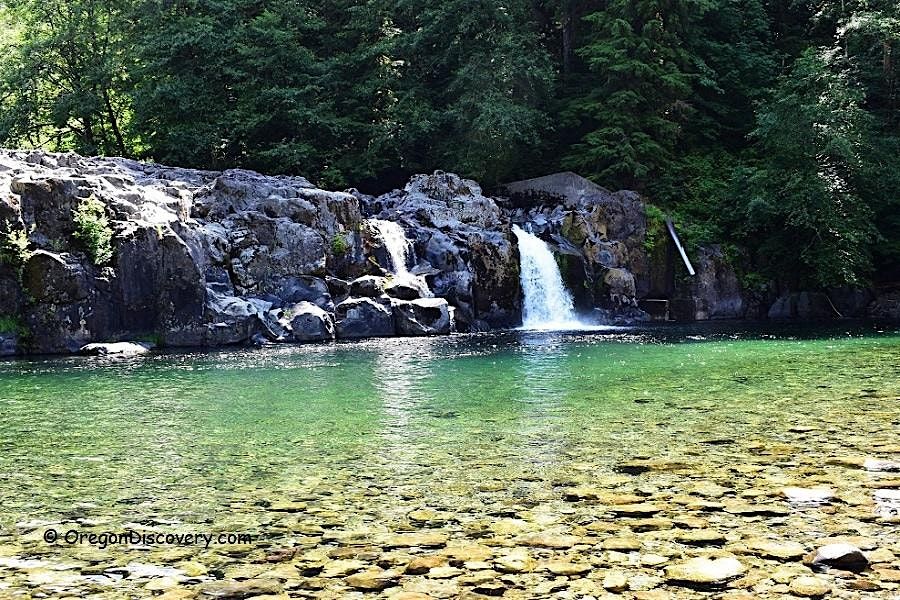 Salmon Falls County Park Material Prep Party - Willamette Valley