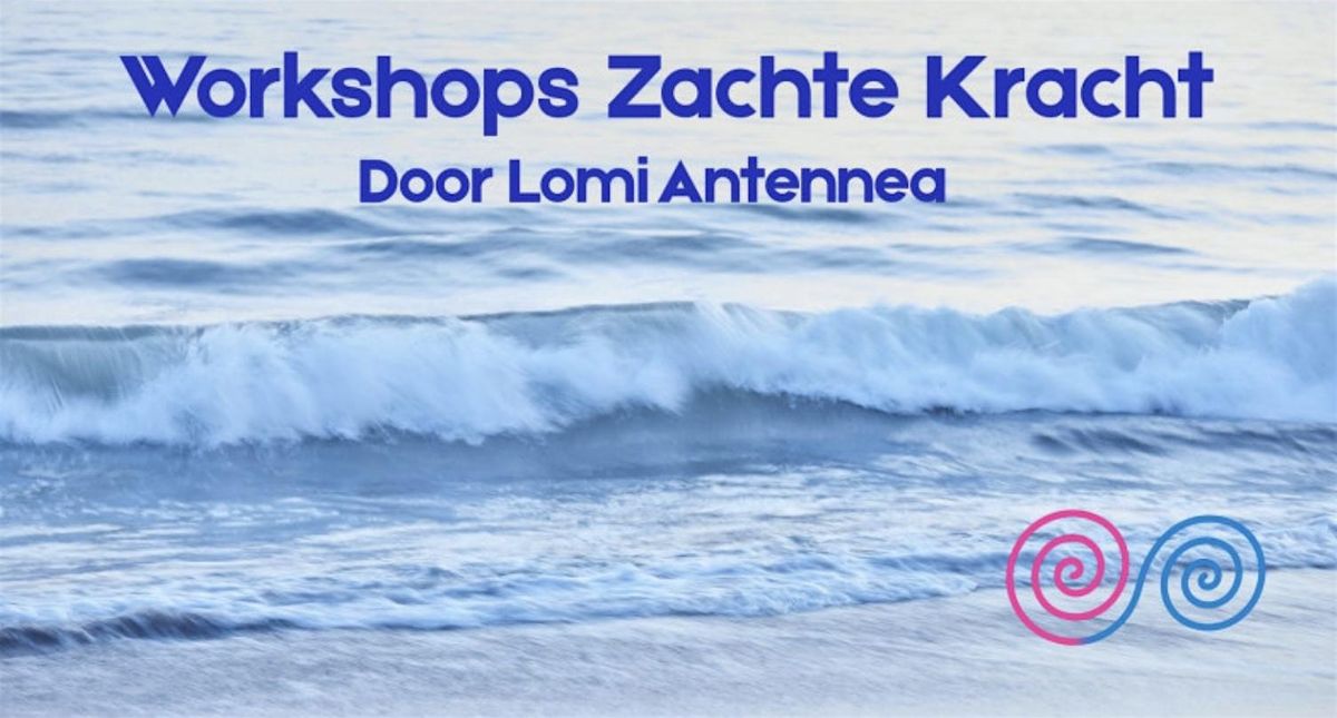 Workshops Zachte Kracht, 30 November | Event in Zoetermeer | AllEvents