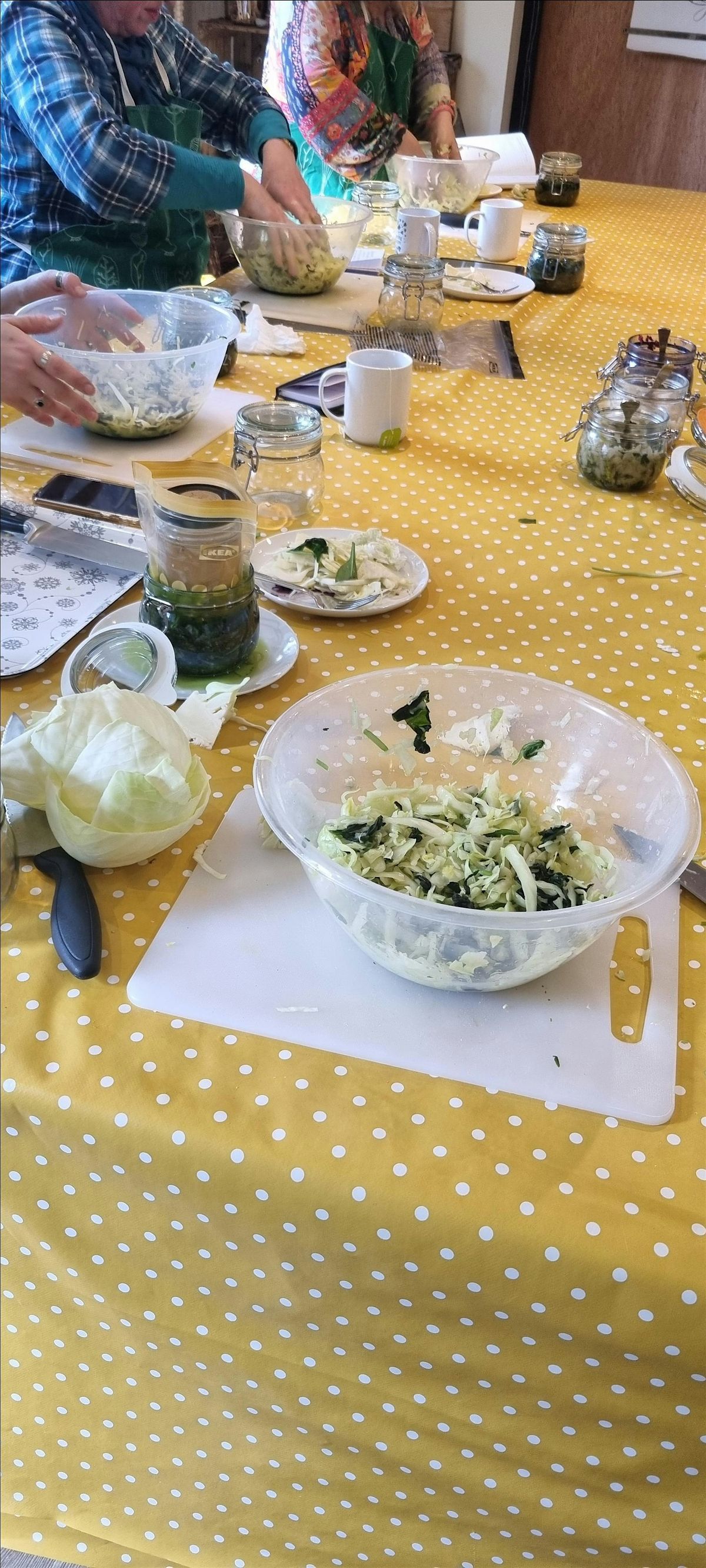 Gardening Lady Foraging and Fermentation Workshop, 4 April | Event in Penwortham, Preston | AllEvents