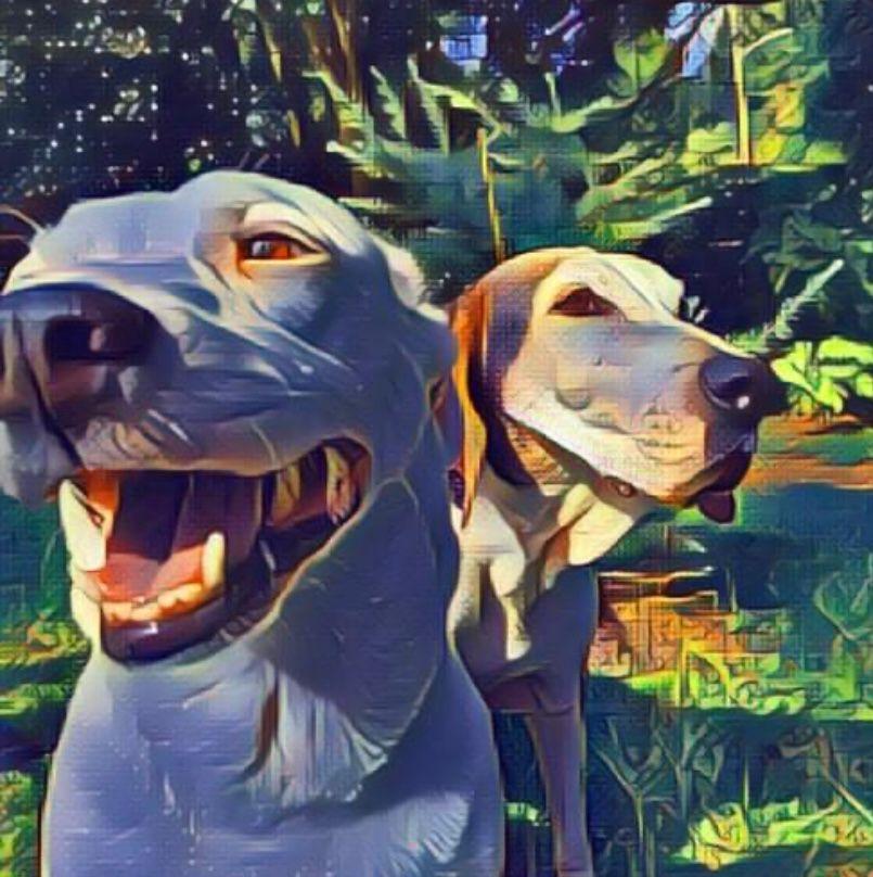Live Music with Sun Dogs, 1 July | Event in Fountain Inn | AllEvents.in
