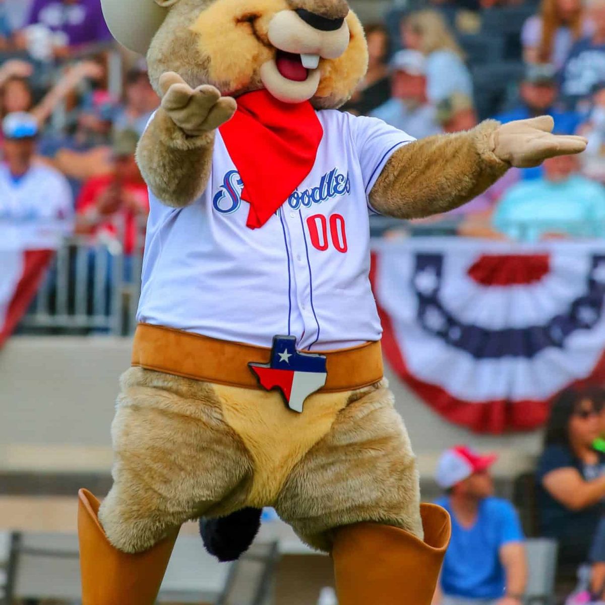 Midland Rockhounds at Amarillo Sod Poodles at Hodgetown, 4 July | Event in Amarillo | AllEvents
