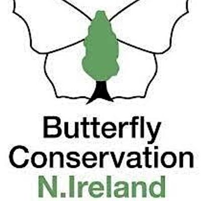Butterfly Conservation NI logo