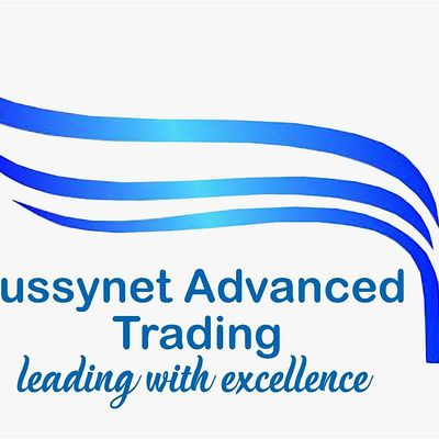 BUSSYNET ADVANCED TRADING logo