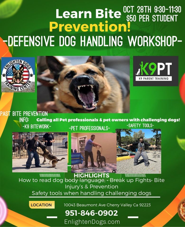 Defensive Dog Handling 101 , Enlighten Dog Training, Beaumont, October