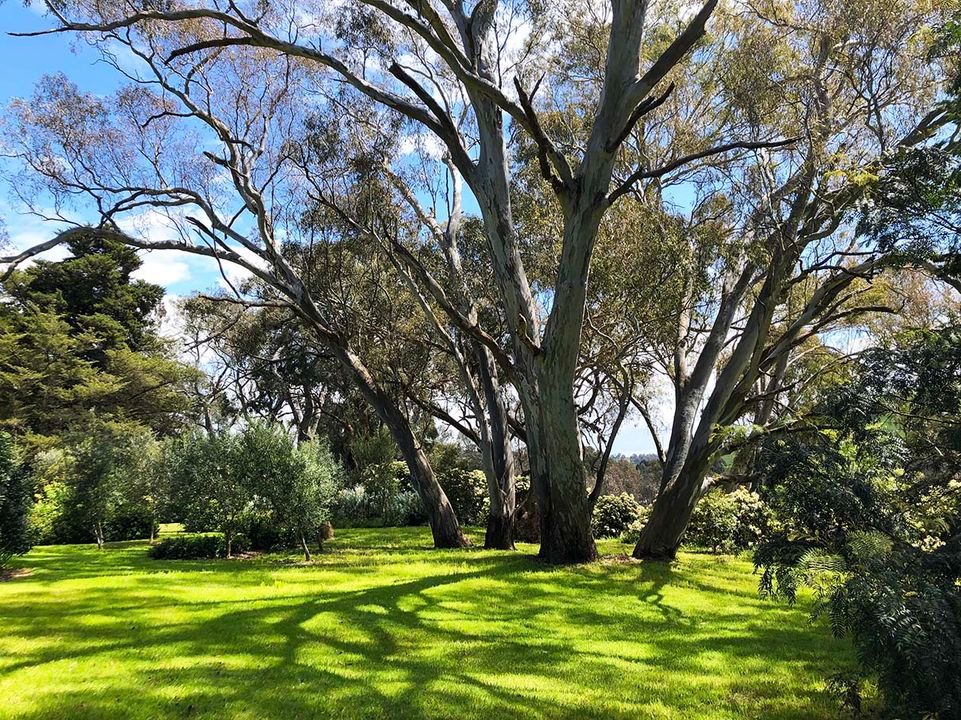 Open Gardens Victoria Rokeby, 500 Upper Goulburn Road, Tallarook Vic