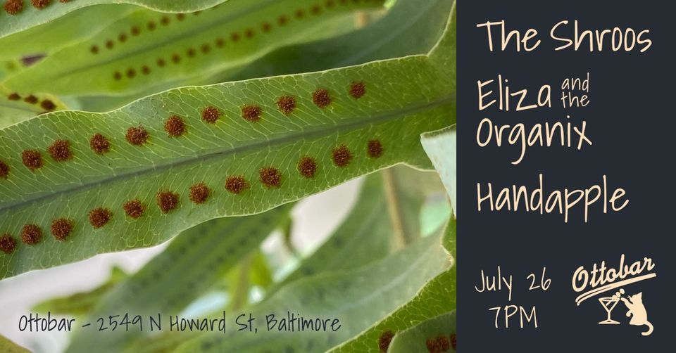 The Shroos Eliza And The Organix And Handapple 7 26 Ottobar Baltimore July 26 22 Allevents In The Shroos Eliza And The Organix And Handapple 7 26 Ottobar Baltimore July 26 22 Allevents In