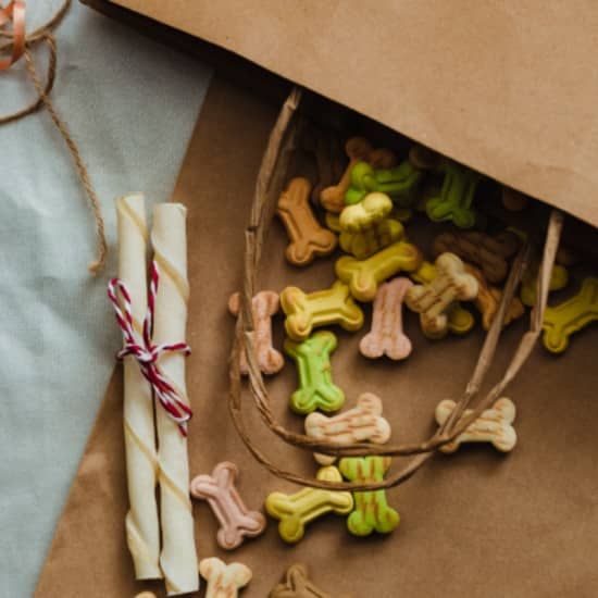 Cook for Your Pup: Nutritious Meals & Treats in DC, 2 September | Event in Washington | AllEvents