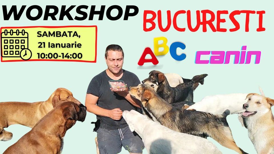 ABC Canin Piata Amzei, Bucharest, January 21 2023 AllEvents.in